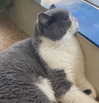 bbanshi Altpins Profile Picture