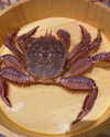bbanshi Altpins Profile Picture