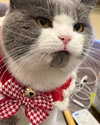 bbanshi Altpins Profile Picture