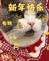 bbanshi Altpins Profile Picture