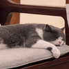 bbanshi Altpins Profile Picture