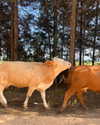 bbanshi Altpins Profile Picture