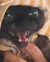 bbanshi Altpins Profile Picture