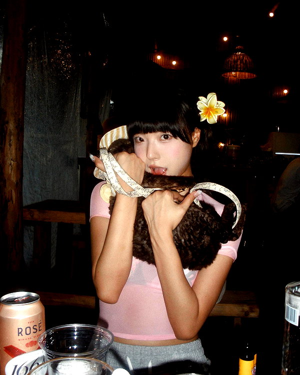 bbanshi instagram image archive image
