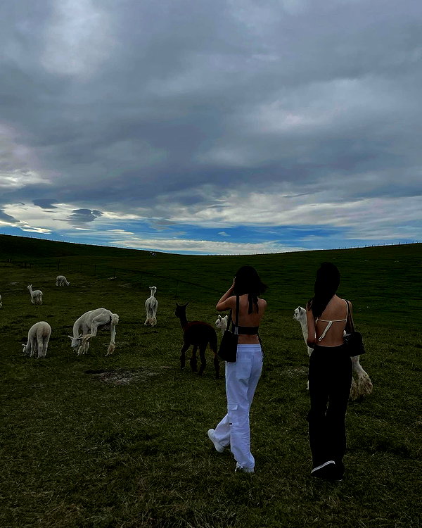 bbyambi instagram image archive image