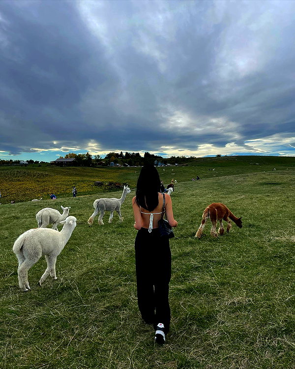 bbyambi instagram image archive image