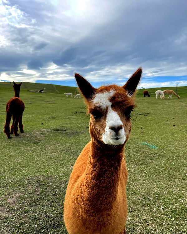 bbyambi instagram image archive image