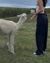 bbyambi Altpins Profile Picture