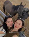 bbyambi Altpins Profile Picture