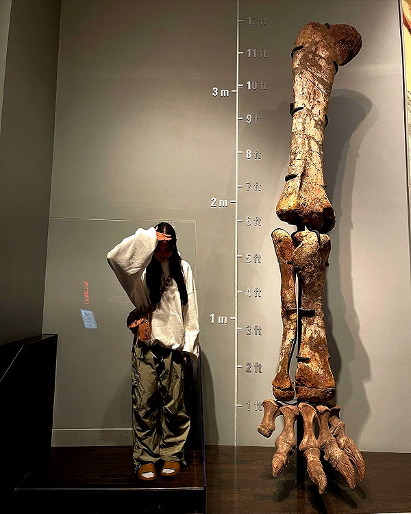 bbyambi instagram image archive image