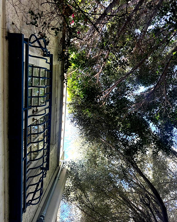 bbyambi instagram image archive image