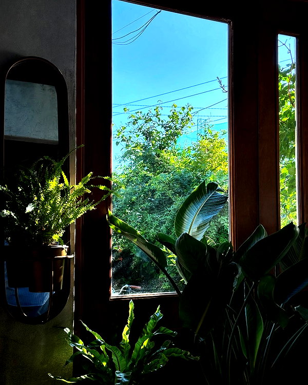 bbyambi instagram image archive image