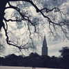 bellapoarch Altpins Profile Picture