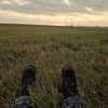 bellapoarch Altpins Profile Picture
