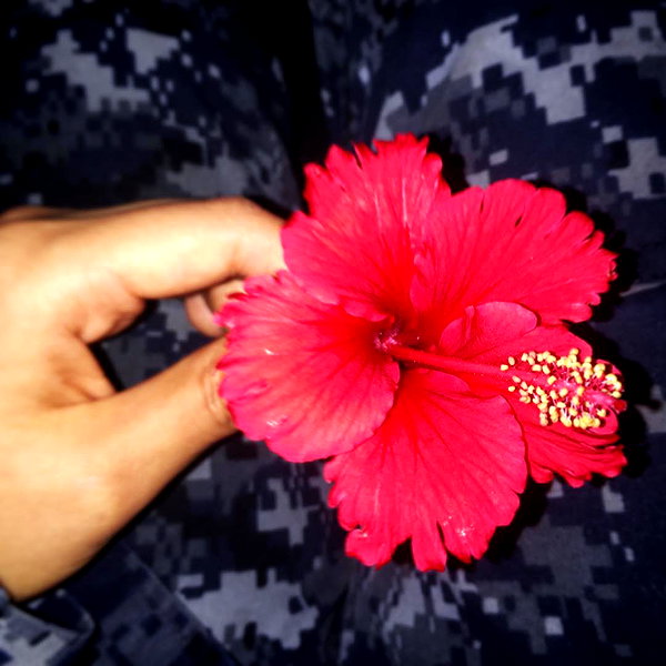 bellapoarch instagram image archive image