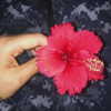 bellapoarch Altpins Profile Picture