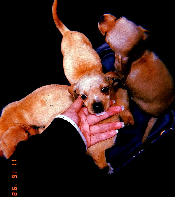 bellapoarch instagram image archive image