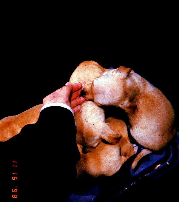 bellapoarch instagram image archive image