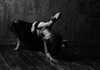 belok_bero Altpins Profile Picture