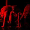 belok_bero Altpins Profile Picture