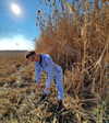 belok_bero Altpins Profile Picture