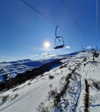 belok_bero Altpins Profile Picture