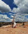 belok_bero Altpins Profile Picture