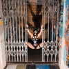 belok_bero Altpins Profile Picture