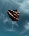 belok_bero Altpins Profile Picture