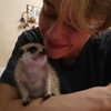 belok_bero Altpins Profile Picture
