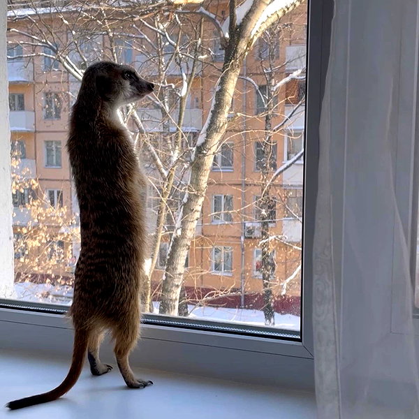 belok_bero instagram image archive image