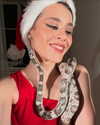 belok_bero Altpins Profile Picture