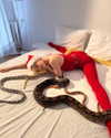 belok_bero Altpins Profile Picture