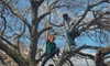 beth.sharonu Altpins Profile Picture