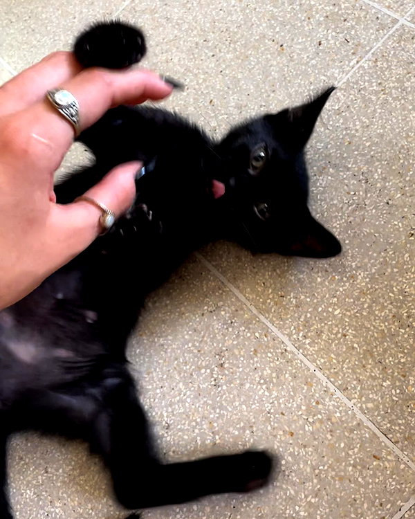 beth.sharonu beth.sharonu archive image