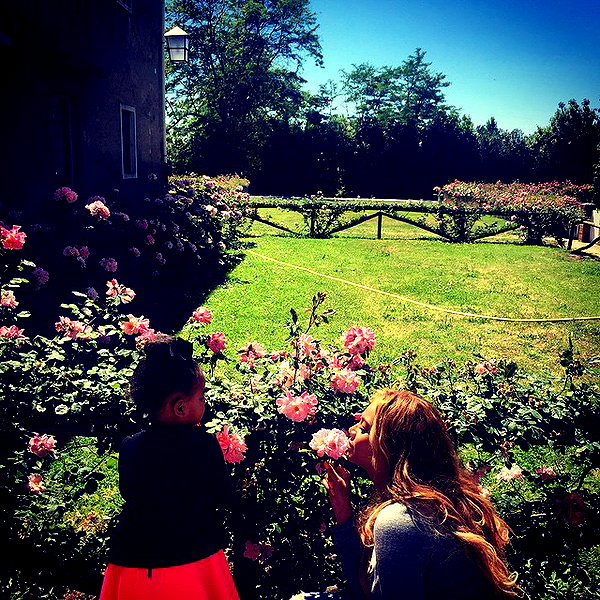 beyonce instagram image archive image