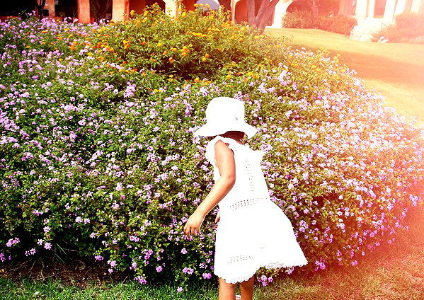 beyonce instagram image archive image