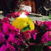 beyonce Altpins Profile Picture