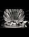 beyonce Altpins Profile Picture