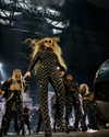 beyonce Altpins Profile Picture