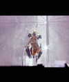 beyonce Altpins Profile Picture