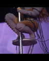 beyonce Altpins Profile Picture