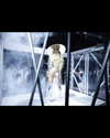 beyonce Altpins Profile Picture