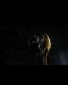 beyonce Altpins Profile Picture