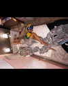 beyonce Altpins Profile Picture