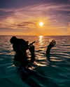 beyonce Altpins Profile Picture