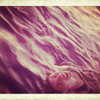 beyonce Altpins Profile Picture