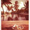 beyonce Altpins Profile Picture