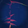 beyonce Altpins Profile Picture