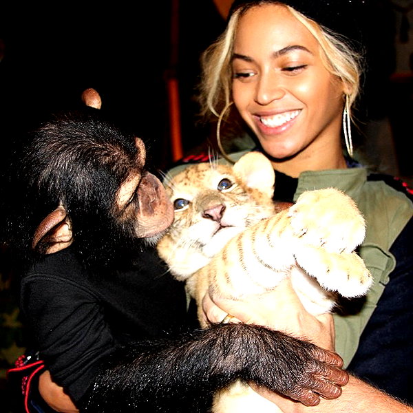 beyonce instagram image archive image